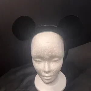 Disney | Accessories | Disney Parks 27 Interchangeable  display picture 1